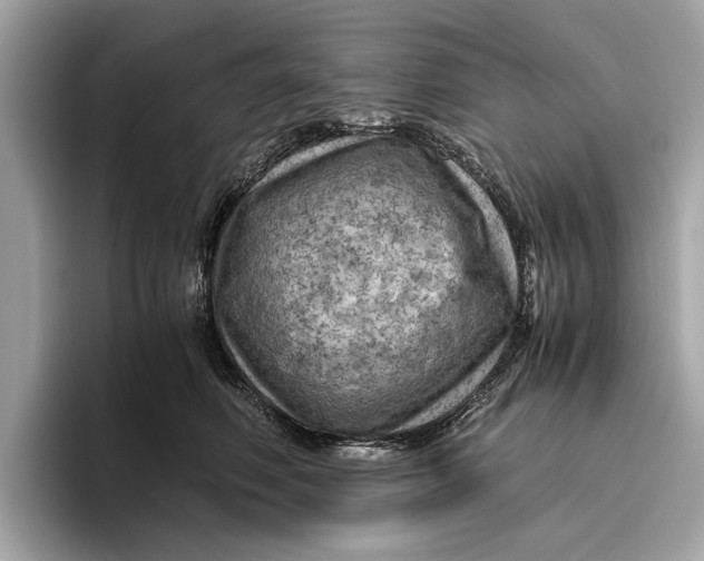 X0000096440614200802141453