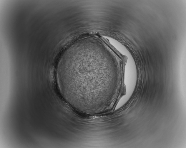 X0000096440616200802141453