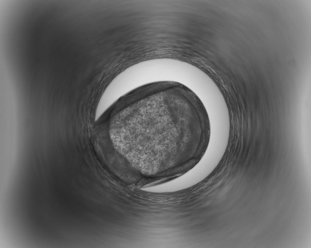 X0000096440617200802141453