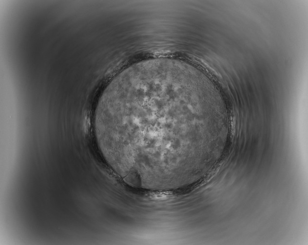 X0000096440618200802141453