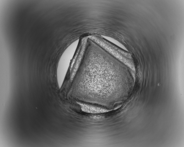 X0000096440619200802141453