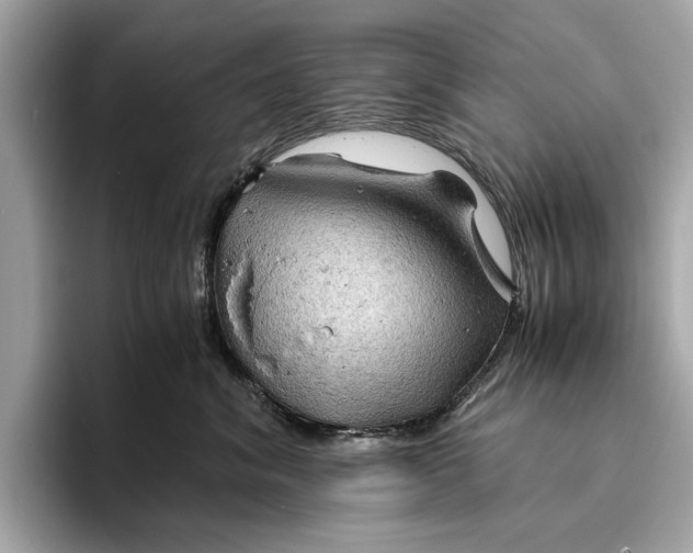 X0000096440620200802141453