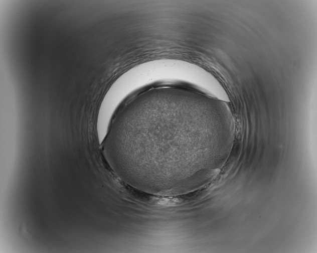 X0000096440621200802141453