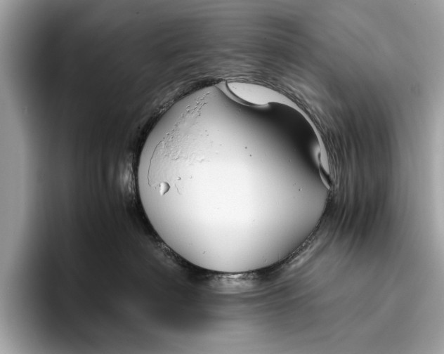 X0000096440622200802141453