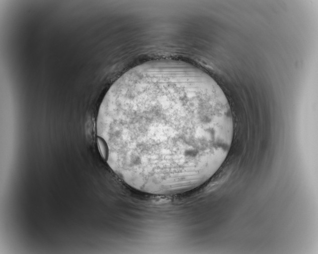 X0000096440624200802141453