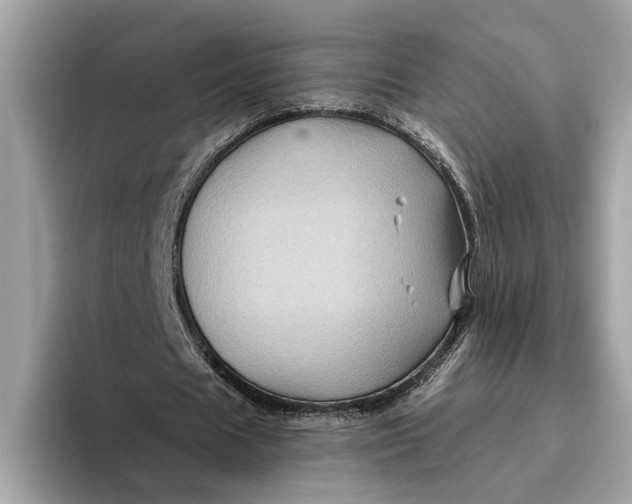 X0000096440625200802141452