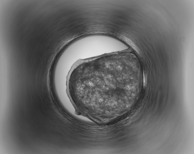 X0000096440627200802141452