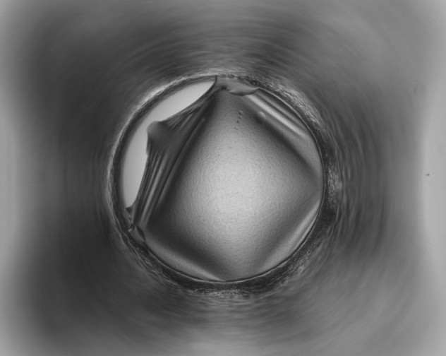 X0000096440628200802141452