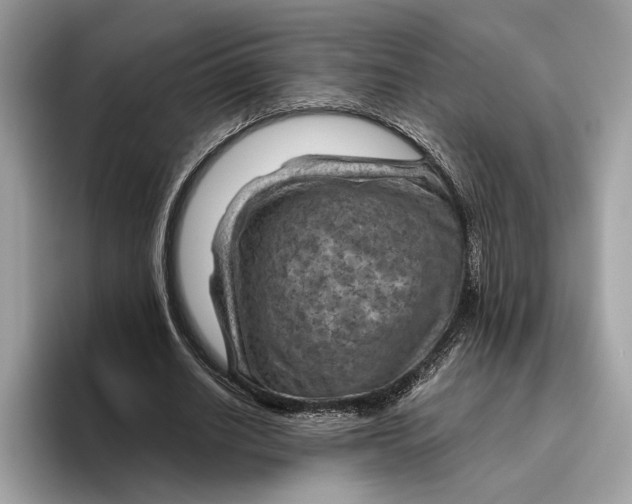 X0000096440630200802141452