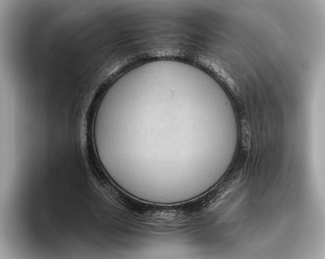 X0000096440631200802141452