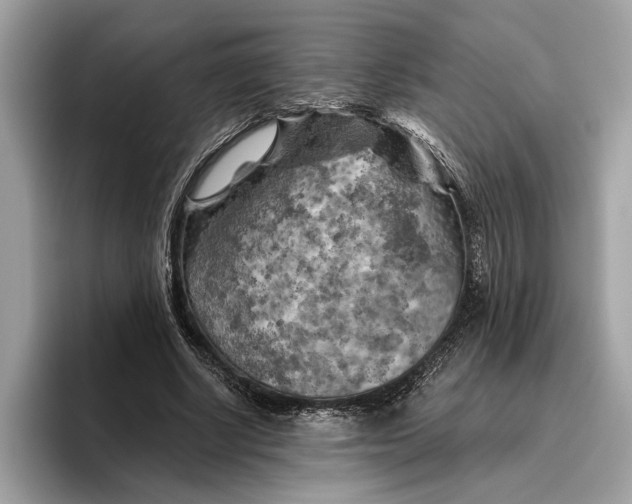 X0000096440634200802141453