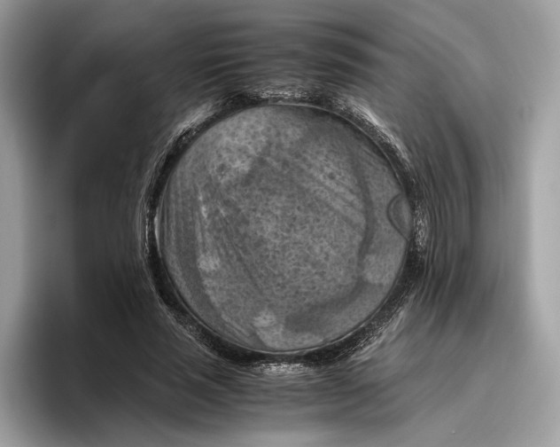 X0000096440637200802141453