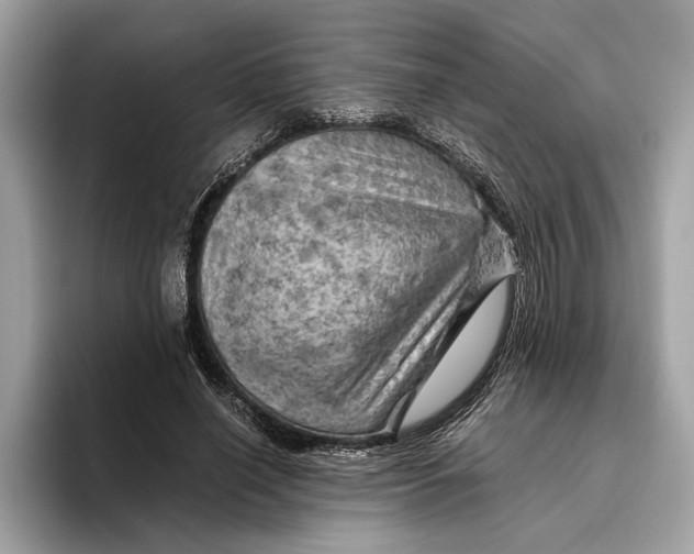 X0000096440638200802141453