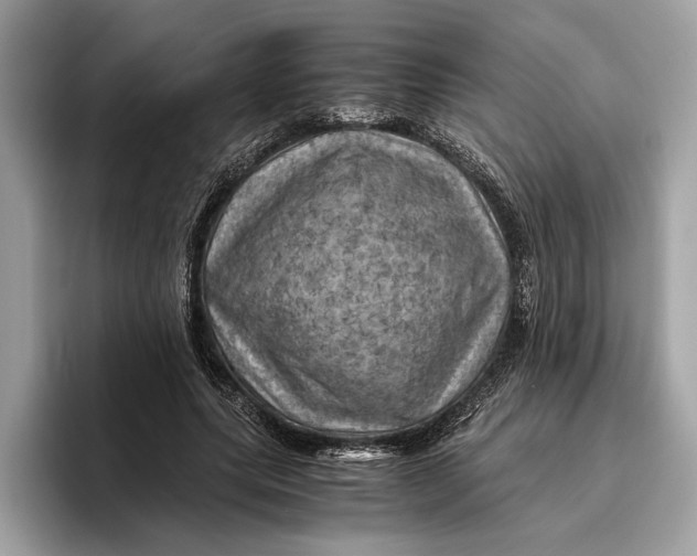 X0000096440639200802141453