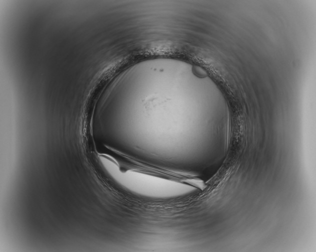 X0000096440640200802141453