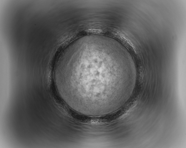 X0000096440641200802141453