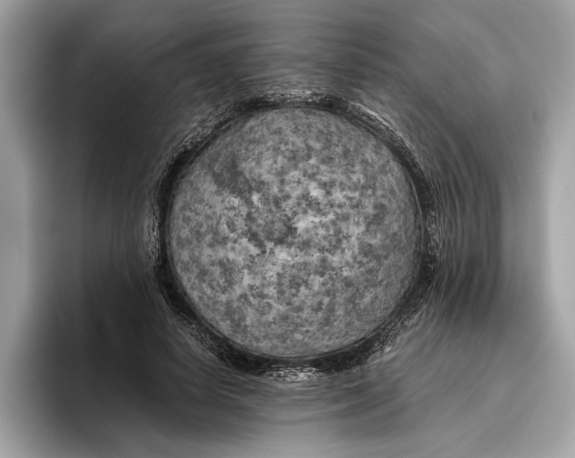 X0000096440642200802141453