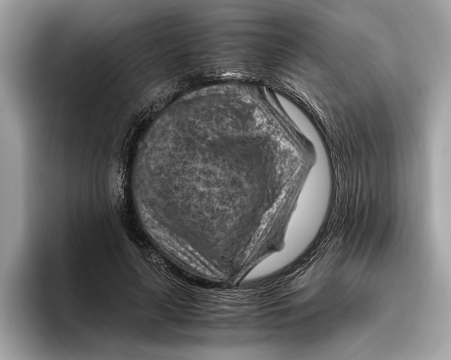 X0000096440643200802141453