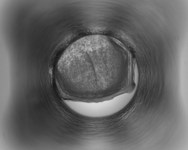 X0000096440644200802141453