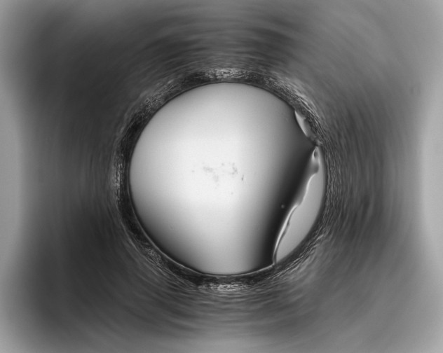 X0000096440645200802141453