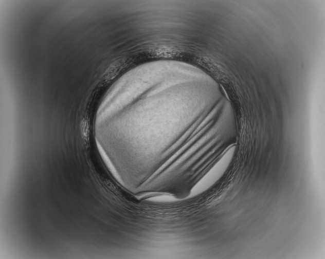 X0000096440646200802141453