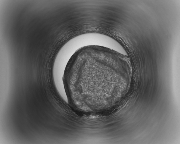 X0000096440647200802141453