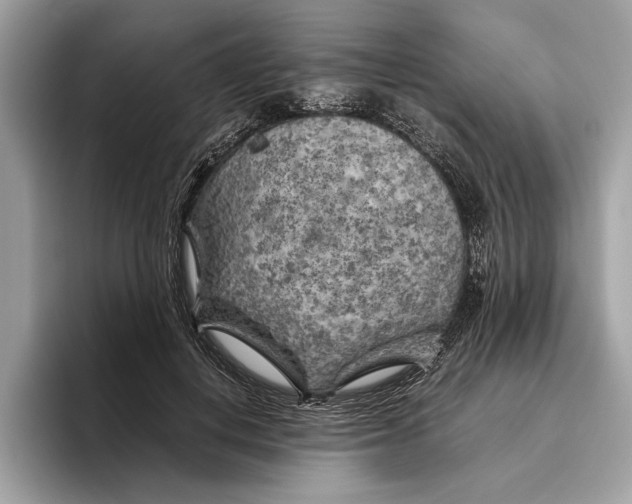 X0000096440648200802141453