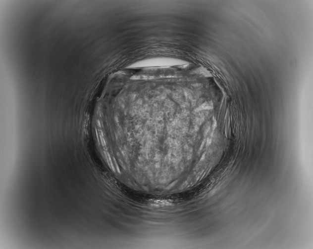 X0000096440649200802141453