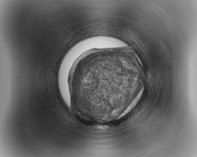 X0000096440650200802141453