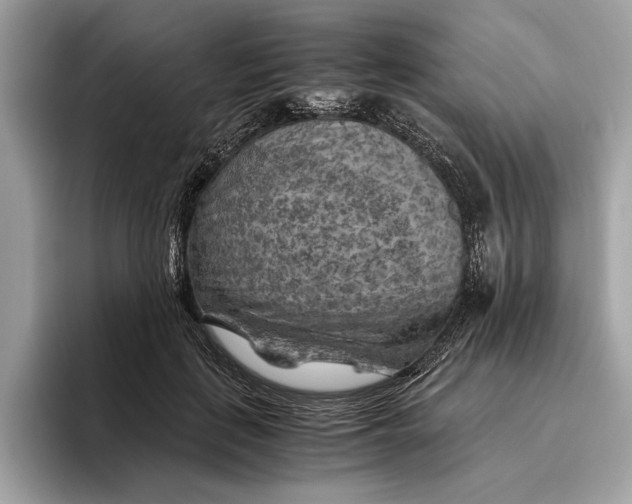 X0000096440651200802141453