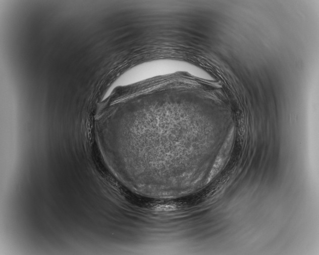 X0000096440653200802141453