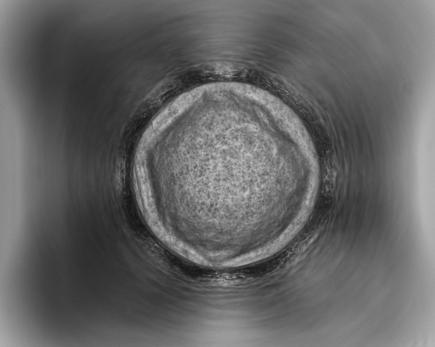 X0000096440656200802141453