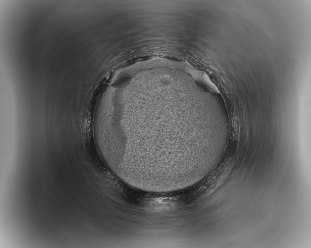 X0000096440657200802141453