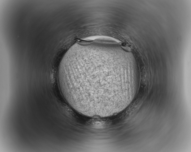 X0000096440658200802141453