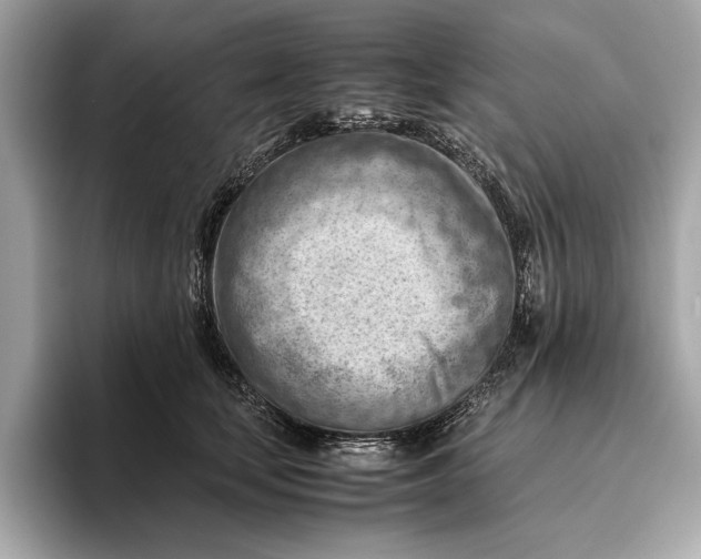 X0000096440659200802141453