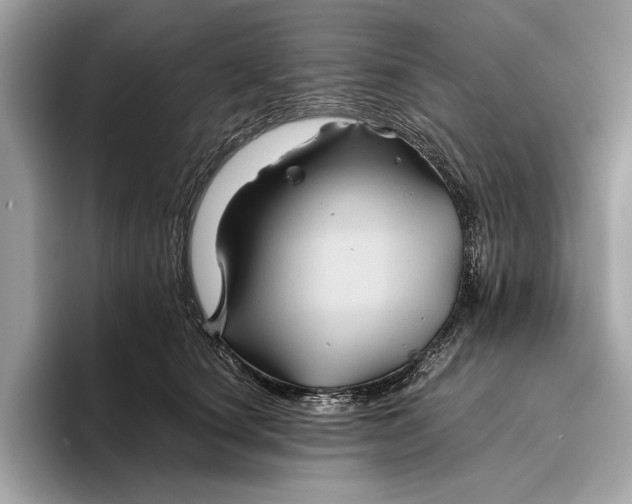 X0000096440660200802141453