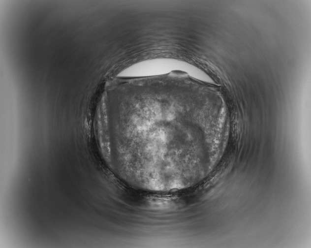 X0000096440661200802141453