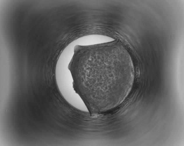 X0000096440663200802141453