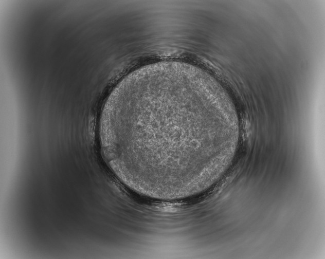 X0000096440664200802141453