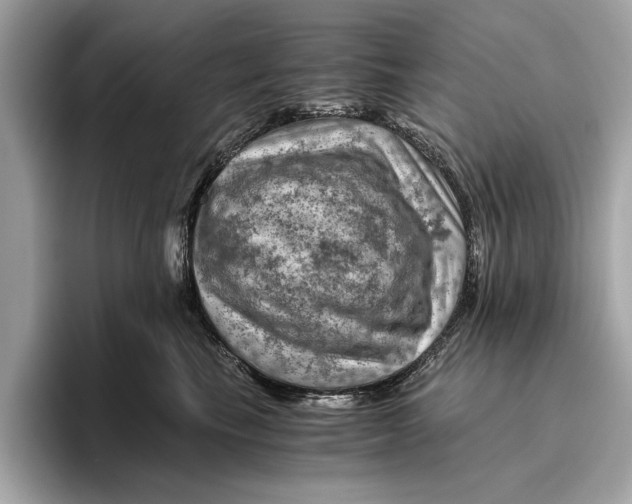 X0000096440665200802141453