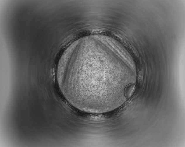 X0000096440666200802141453