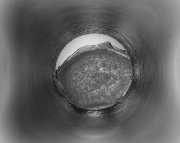 X0000096440667200802141453