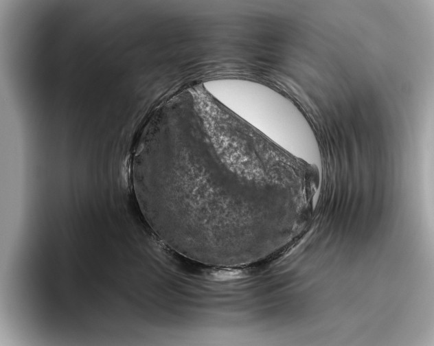 X0000096440669200802141453