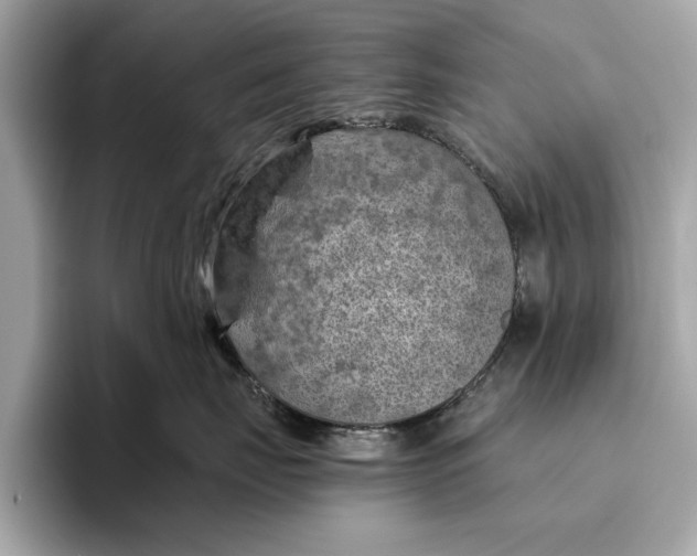 X0000096440671200802141453