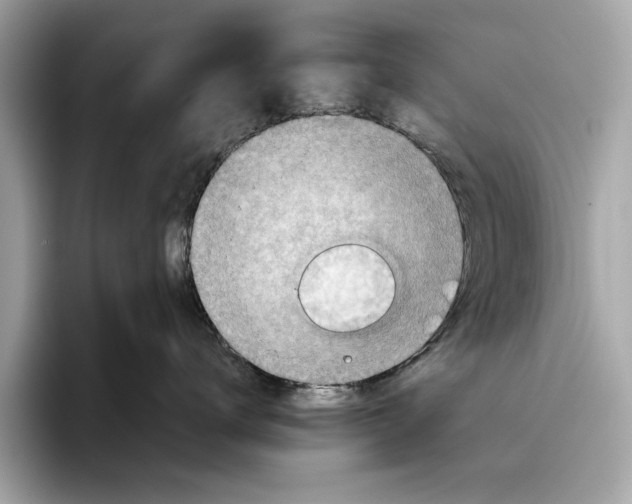 X0000096440672200802141453