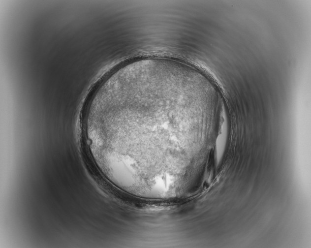 X0000096440674200802141452