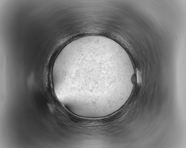 X0000096440675200802141452