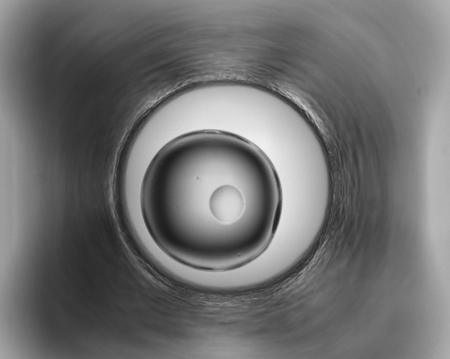 X0000096440677200802141452