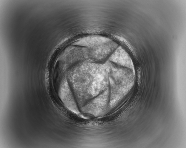 X0000096440684200802141452