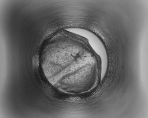 X0000096440685200802141452